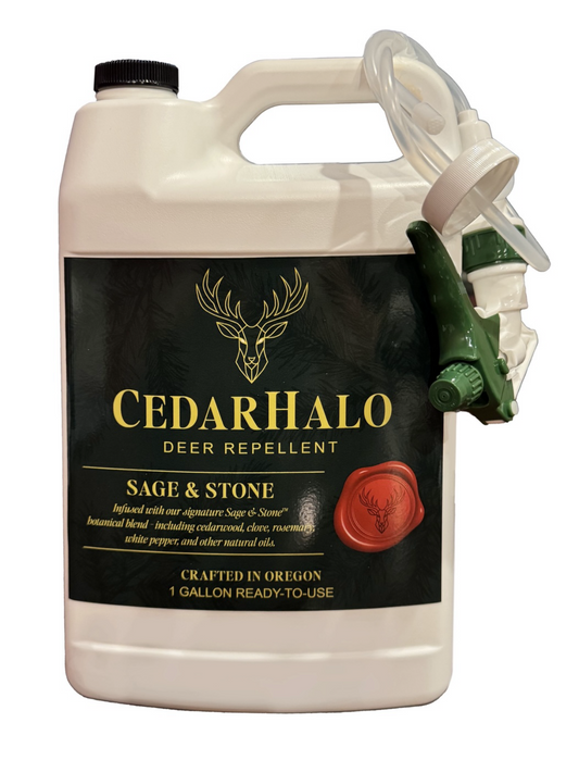 CedarHalo™ — 1-Gallon Ready-to-Use Deer Repellent